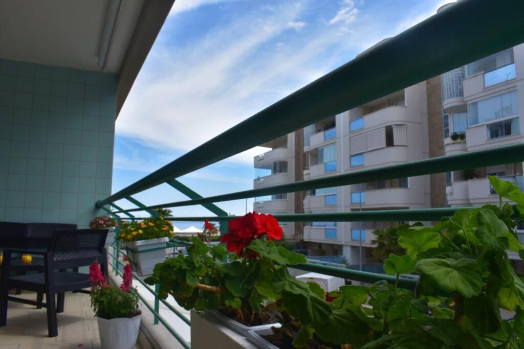 Donna Teresa Accomodation - Holiday House Монополи Екстериор снимка